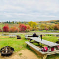 Discovering the Flavorful Food and Drink Festivals in Fairfax County, VA