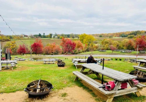 Discovering the Flavorful Food and Drink Festivals in Fairfax County, VA